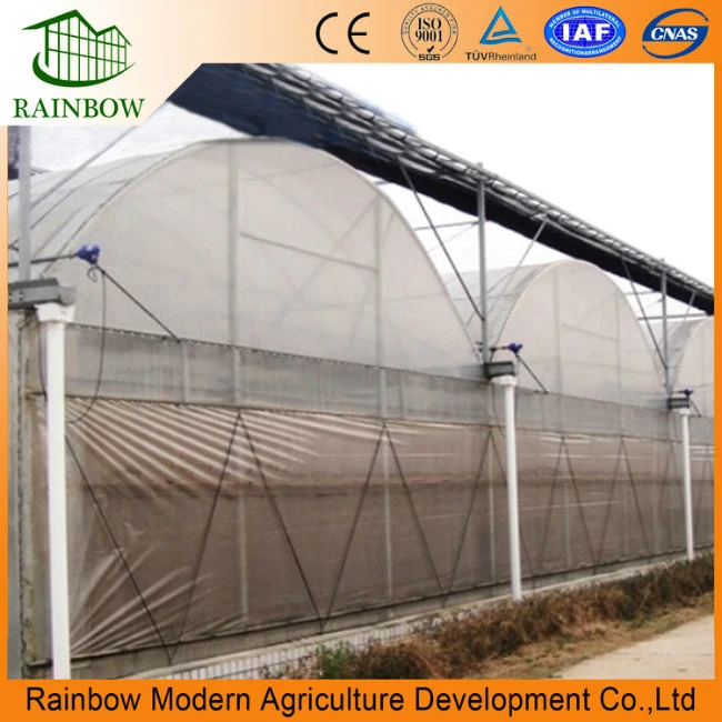 Outside Shading System for Venlo Greenhouse