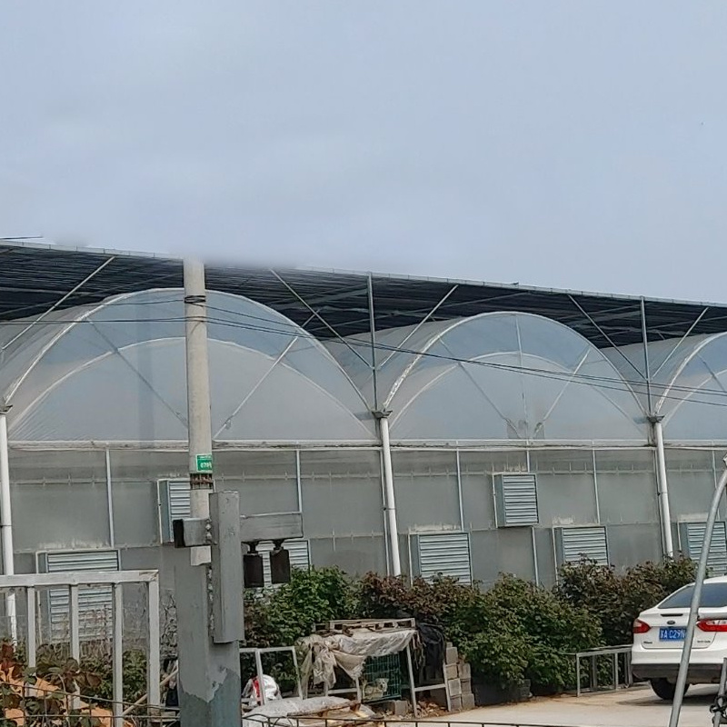 China Supplier Agriculture/Commercial Single Span/Multi Span Plastic Film Greenhouse