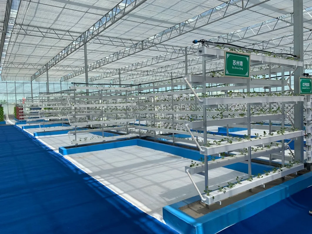 Smart Multi-Span Agriculture Glass Greenhouse with Hydroponic System for Planting
