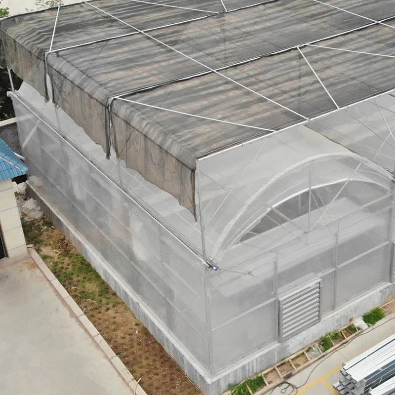 Hot Sale Solar Agricultural Greenhouse Structure Plastic Film Multi-Span Greenhouse