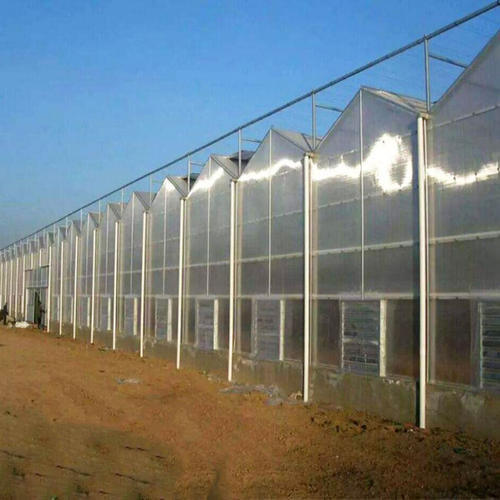Venlo PC Sheet Greenhouse for Commercial with Hydroponic Nft Systems