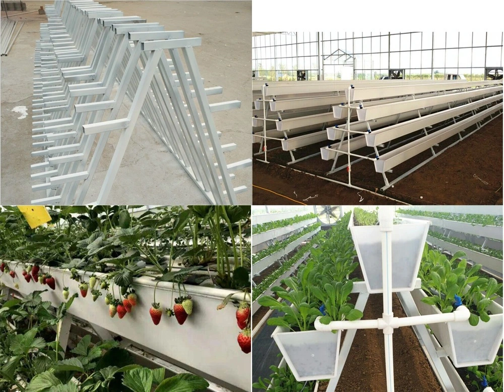 High Efficient Plant Indoor Hydroponic Grow Greenhouse