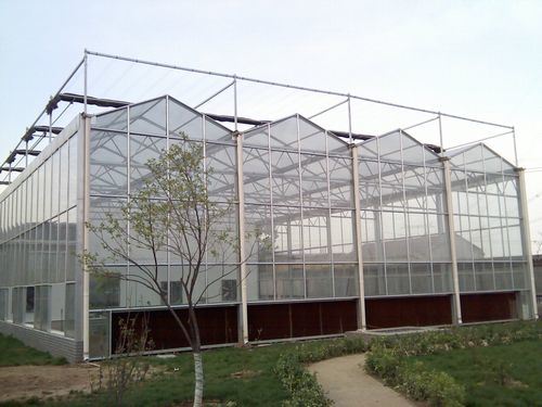 Commercial Aulminum Profiles Vegetable/Garden/Flower Glass Green House