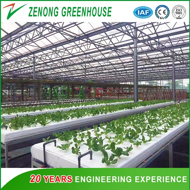 Multi-Span Intelligent Greenhouse Covered with Glass/PC Sheet/Film