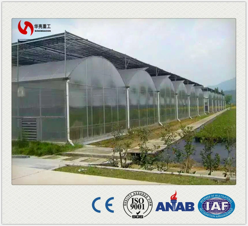 Solar Greenhouse, Glass Greenhouse, Venlo Greenhouse