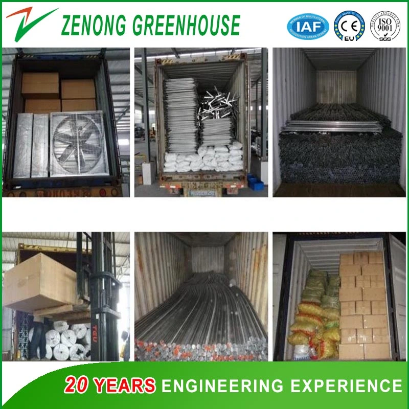 Tunnel Intelligent Greenhouse Covered with PO/PE/Pep Film for Planting Vegetables/Flowers/Fruits