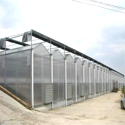 Agriculture Plastic Film Greenhouse for Vegetables/Flowers/Garden