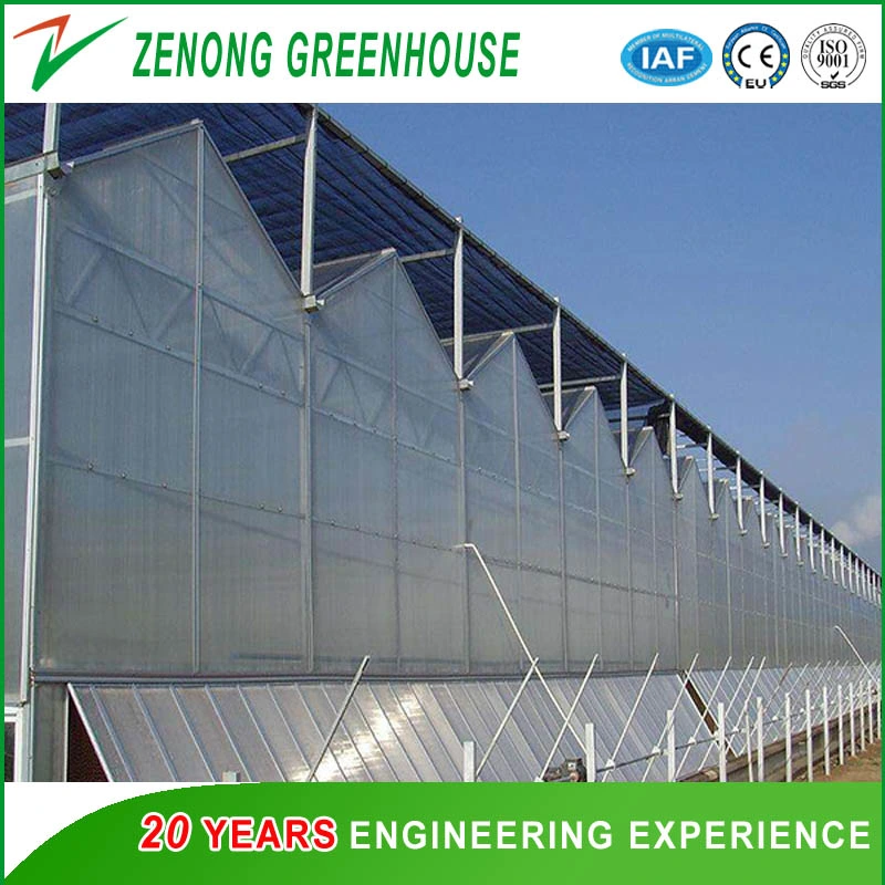 Hot Sale New Design Greenhouse PC Greenhouse for Soilless Culture