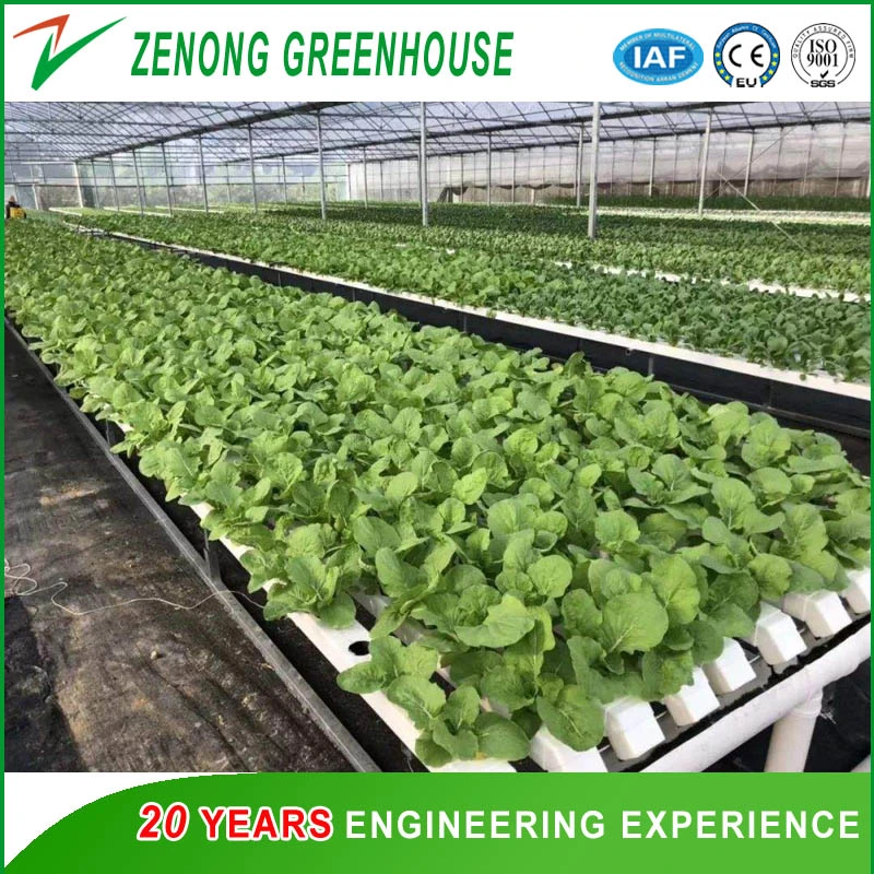 Even Span Agriculture PC Sheet Green House/Planting Tent/Greenhouse for Sale