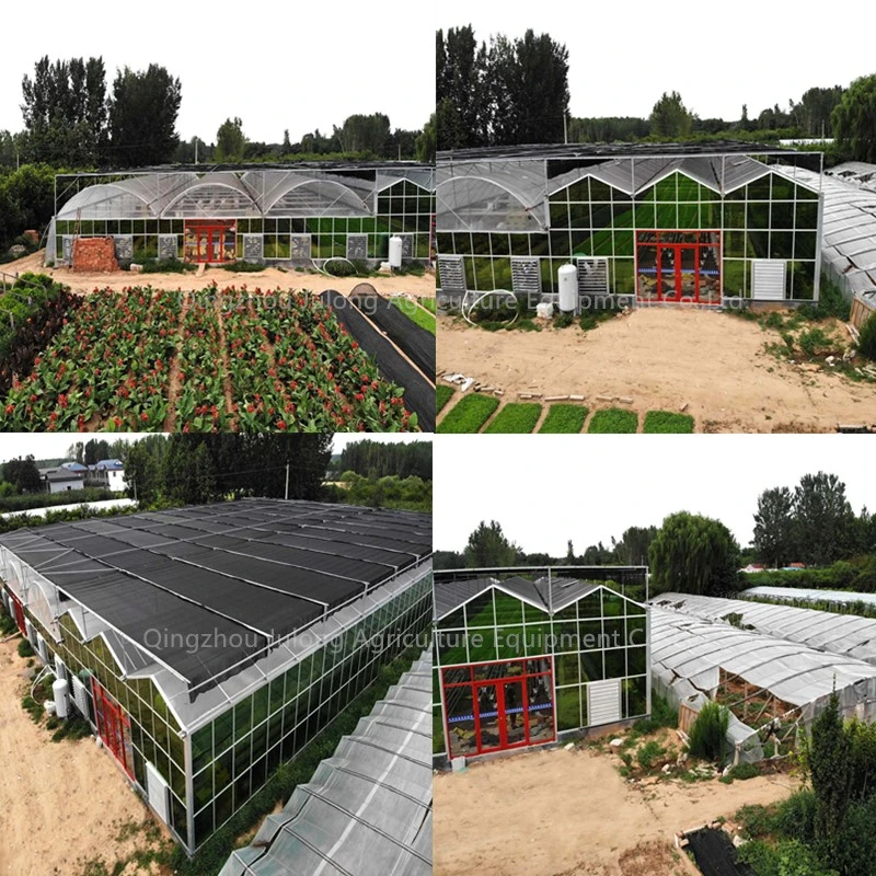 Steel Structure Flower House Venlo Glass Covered Greenhouse for Sale