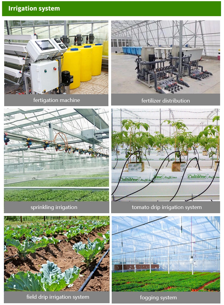 Low Cost Hydroponics Farm Greenhouse Polytunnel Multi Span Plastic Film Greenhouse Used Greenhouses