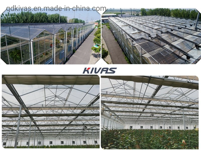 Sunshade HDPE Anti-UV Shading Net Agricultural Greenhouse Inside Screens 75% Shading 67% Evergy Saving