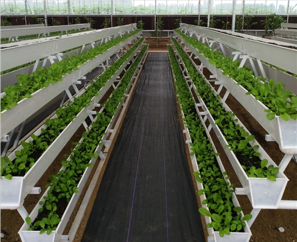 High Efficient Plant Indoor Hydroponic Grow Greenhouse