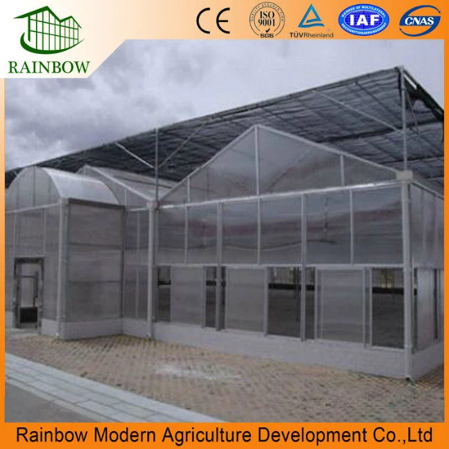 Polytunnel Greenhouse Outside Shading System for Flower