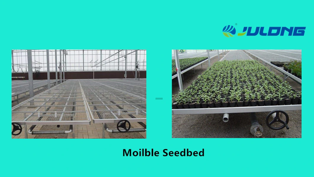 Hydroponic Equipment China Supplier Vegetable Growing Commercial Greenhouse with Low Cost