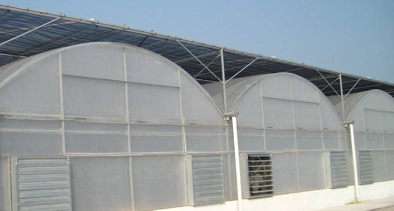 Cooling and Shading System in Summer for Venlo Greenhouse