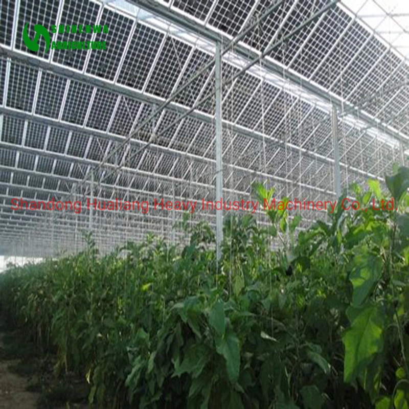 Venlo Typ Multi-Span Solar Photovoltaic Glass Greenhouse for Sale