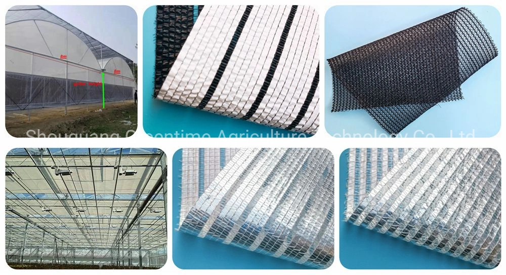 Factory Sale Multi Span PC Greenhouse with Cooling/Shading/Heating System