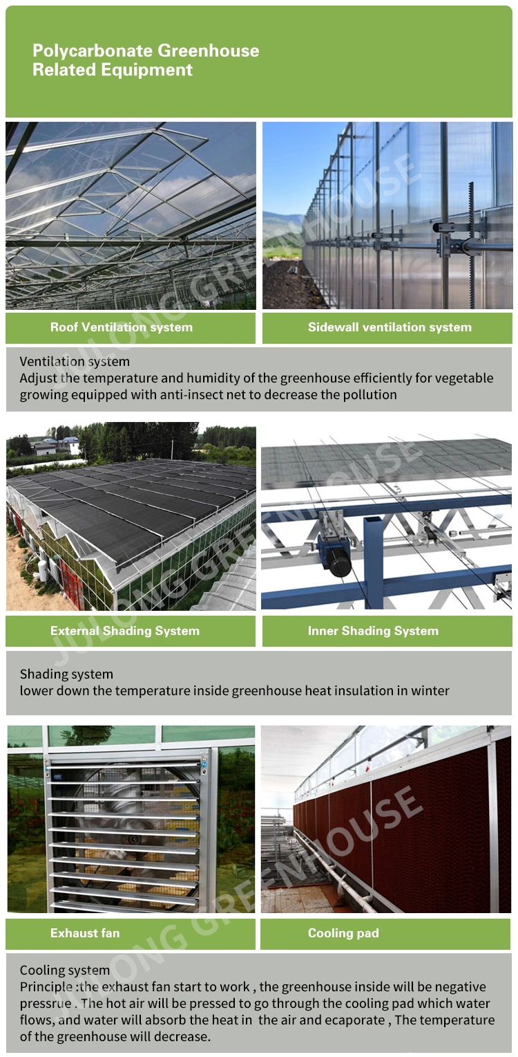 Agricultural Hydroponics System Greenhouse Multi-Span Polycarbonate Sheet Greenhouse