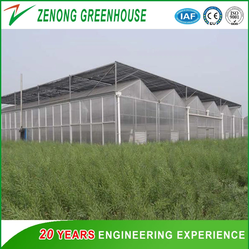 Polytunnel PC Sheet Greenhouses with External Sunshine Block/Shading System for Cooling Down