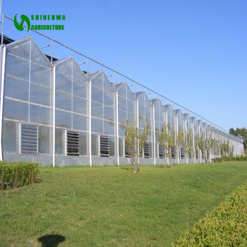 Automatic Agriculture Building Commercial Farming Polycarbonate Sheet Greenhouse