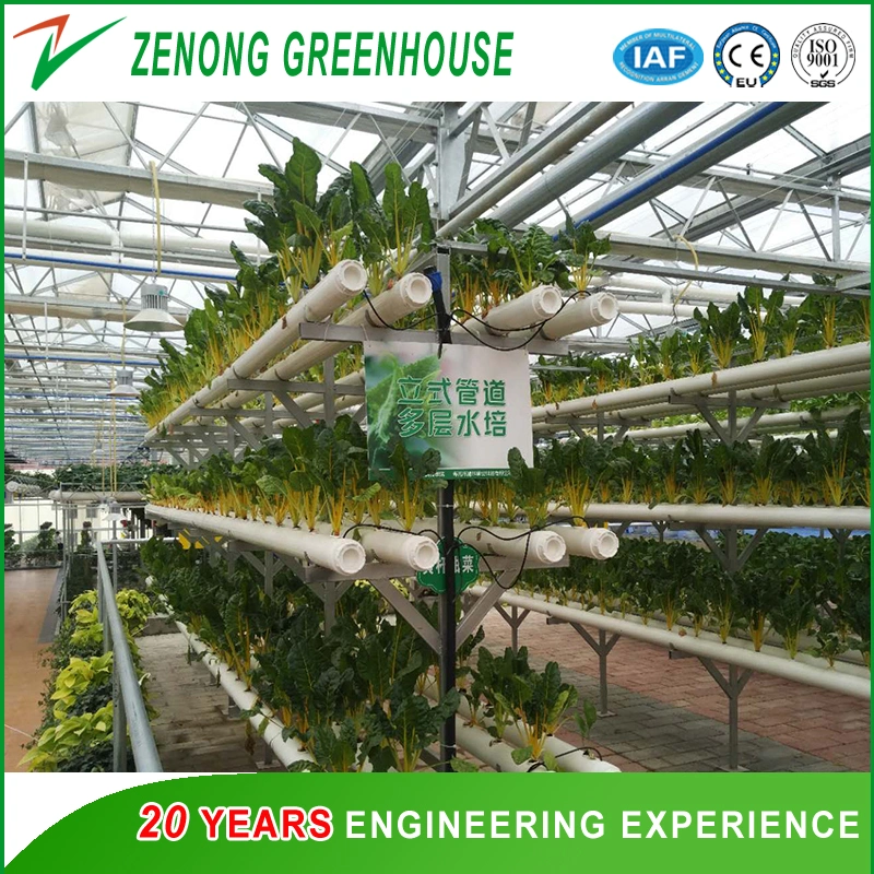 Large Scale Commercial/Agriculture Multi-Span PC Greenhouse Glass Greenhouse Film Greenhouse for Hydroponics/Flowers/Vegetables/Tomatoes/Cucumber/Strawberry