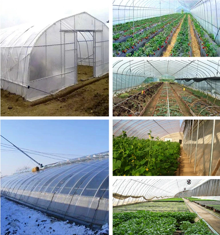 Arch Greenhouse Poly Film Covered Greenhouse for Vegetables/Flowers/Fruits/Seed Breeding