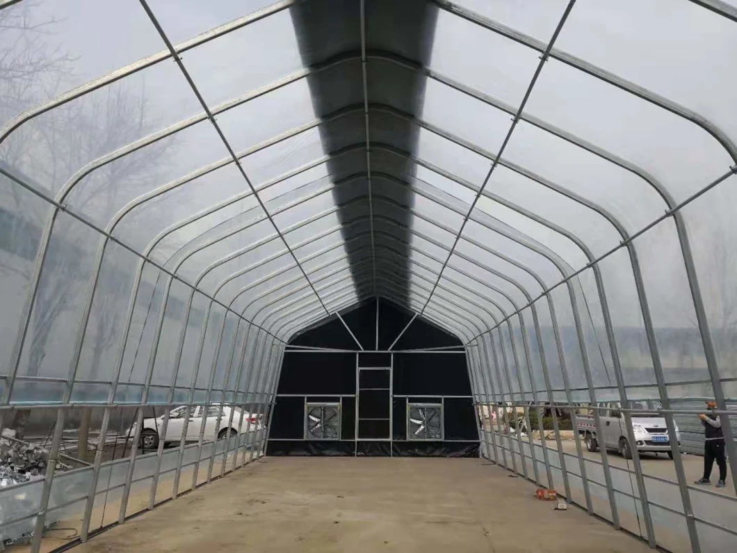 Hot Galvanized Steel Frame Light Deprivation Agricultural Greenhouse