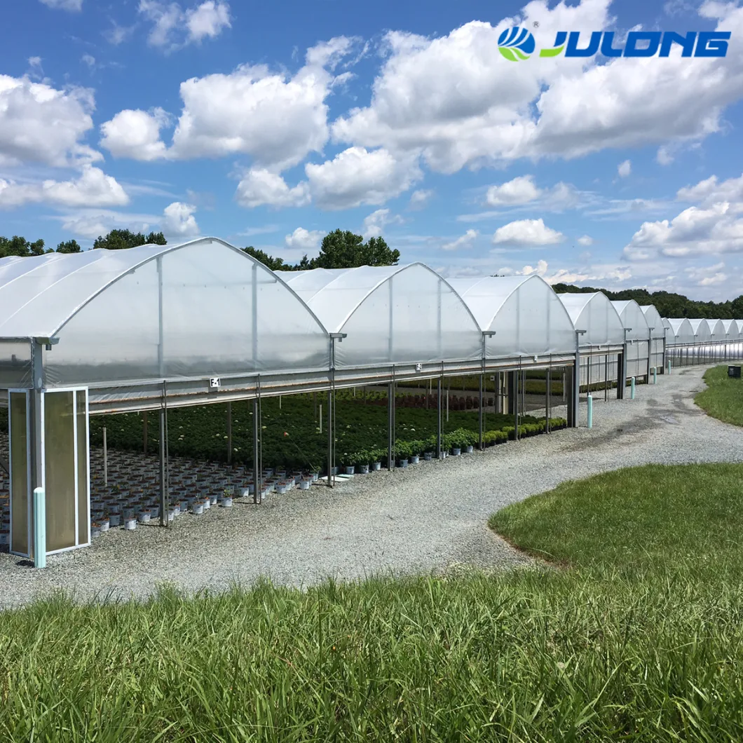 Plastic Multi Span Film Greenhouse Without Outside Shading Net System Greenhouse