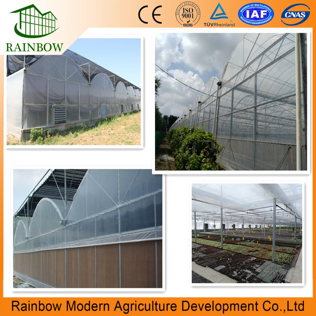 Multi Span Greenhouse with Ventilation System and Shading System