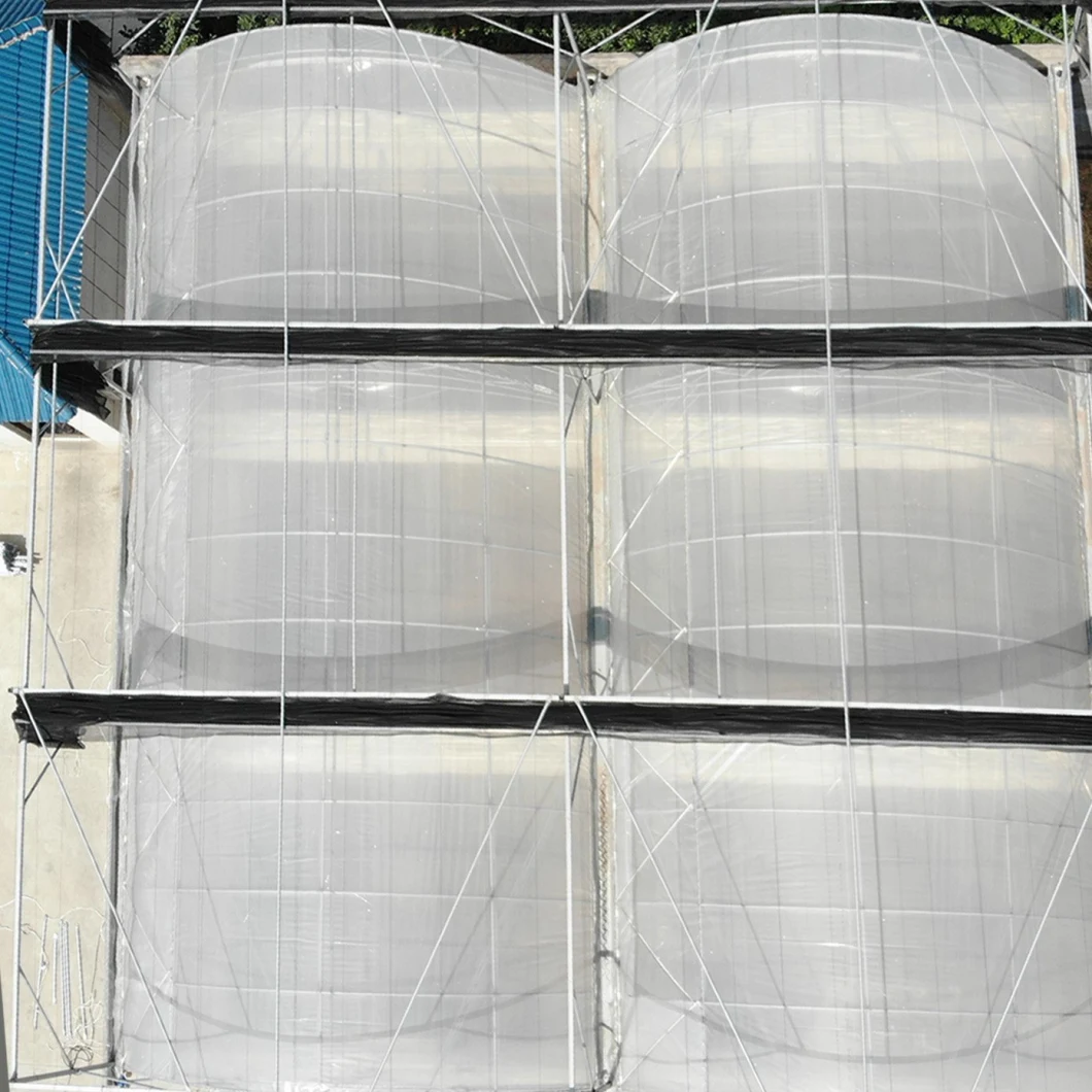 Agriculture/Commercial Polyethylene Film Tunnel Greenhouse for Strawberry/Rose