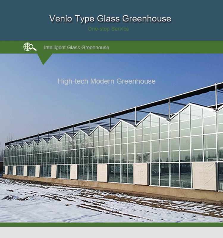 Dutch Venlo Style Glass Greenhouse with Moving Roof