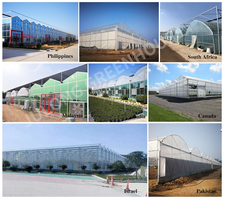 Agricultural Smart Multi-Span/Single-Span Plastic Film Greenhouse with Irrigation System