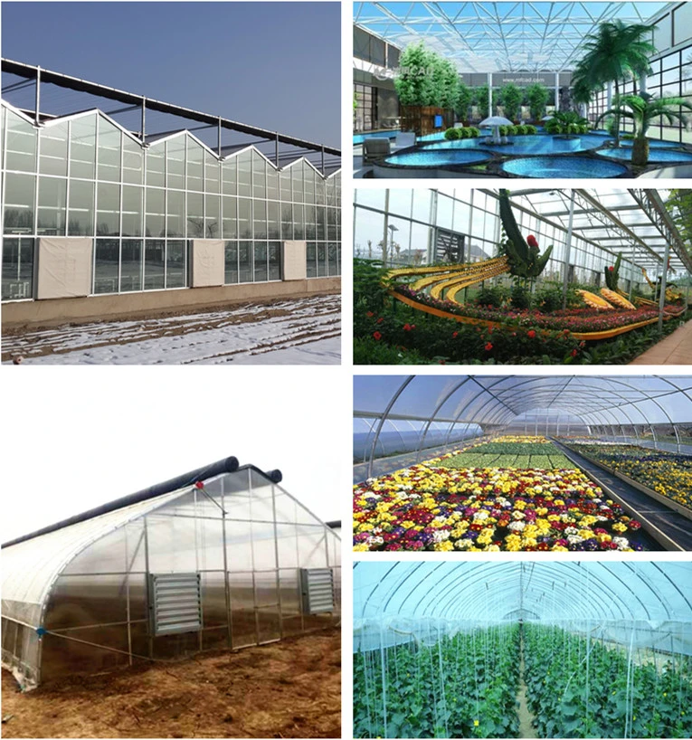 Gutter Connected PC Greenhouse with Automatic Ventilation/Cooling/Irrigation System for Seed Breeding