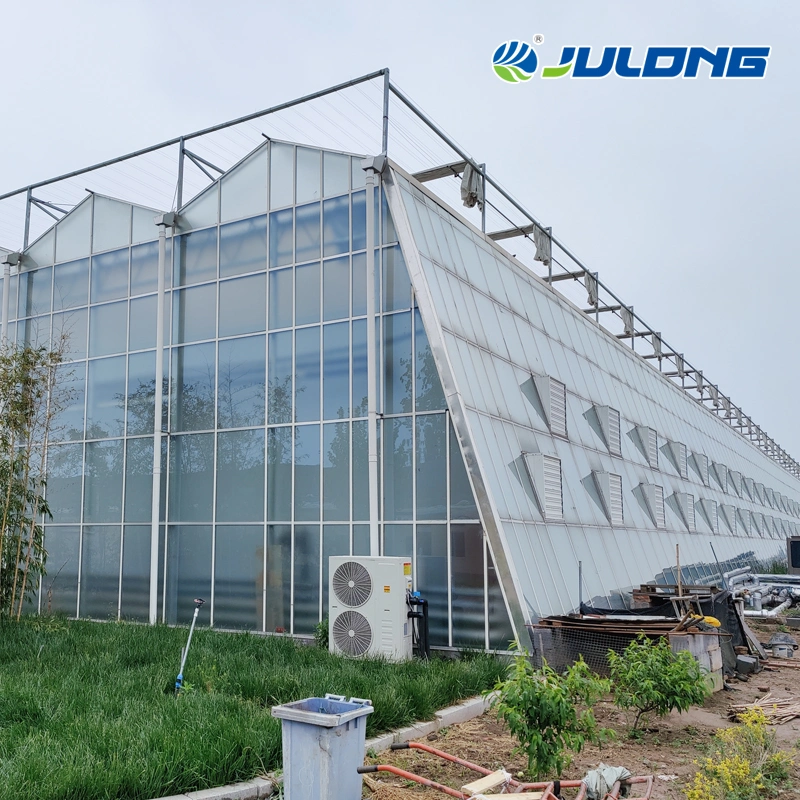 2019 Professional Low Cost Venlo Greenhouse for Flowers