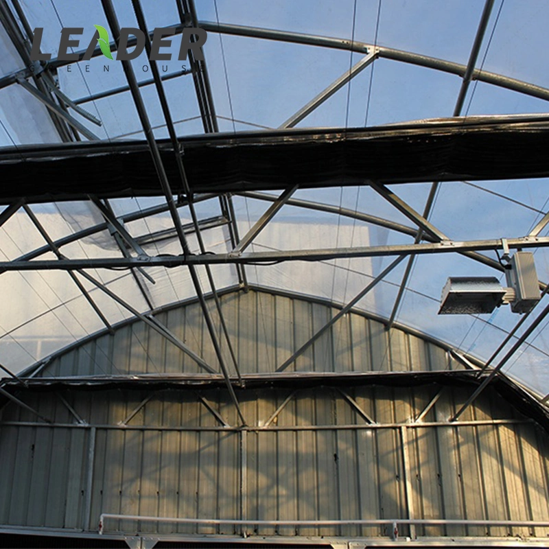 Single-Span Film Blackout Greenhouse with Shading System for Hemp Factory Direct Sale Made in China