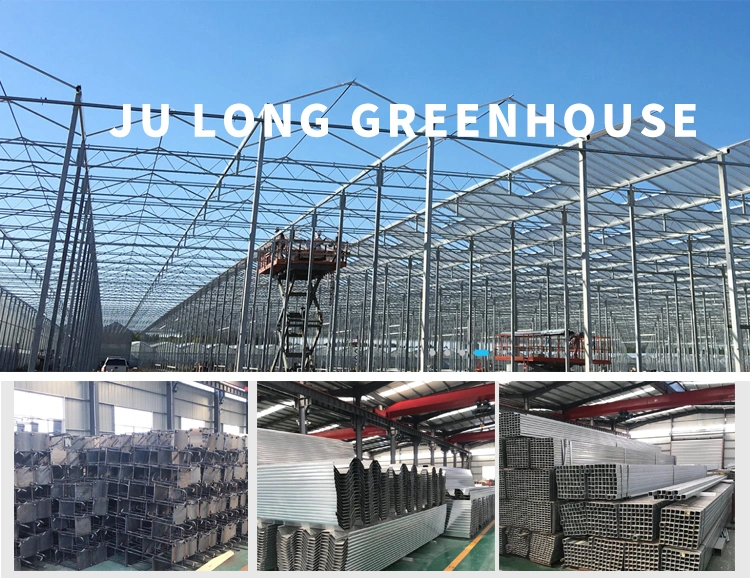 Easy to Install Commercial Agriculture Greenhouse Wide Plastic Film Greenhouse