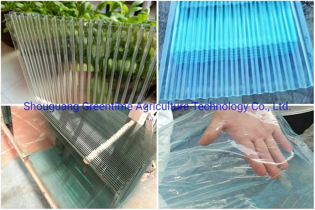 Multi-Span Film/Polycarbonate/PC Sheet/Tunnel/Agricultural Greenhouse with Internal/External Shading System