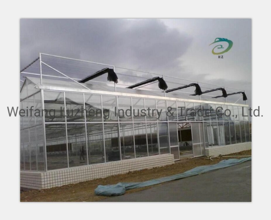 China Factory Hydroponic Polytunnel Greenhouse for Planting Tomato Cucumbers Peppers Lettuce