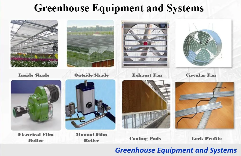 PC Four-Side Greenhouse Growing Hydroponics System for Vegetable/Tomato/Cucumber