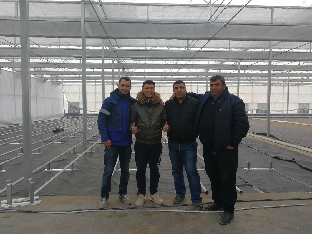 Agricultural Vegetables Aquaponic System Po Plastic Film Commercial Multi-Span Greenhouse