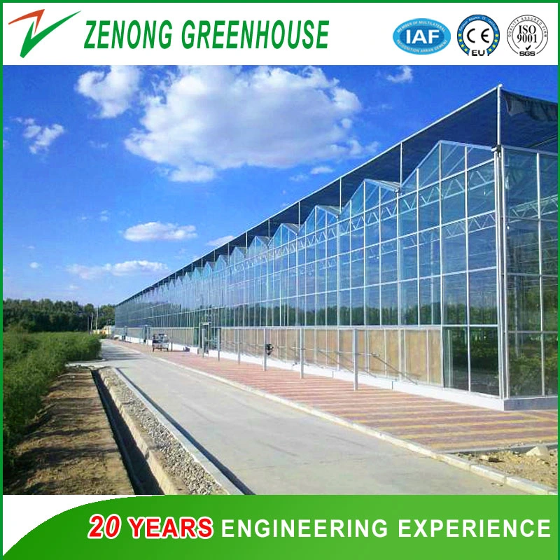 Intelligent Hydroponic Greenhouse Glass/ PC Greenhouse for Scientific Research/Experiment/Exhibition