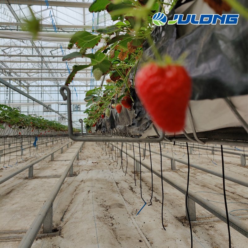 UV Plastic Film Tunnel Commercial Greenhouse Made of Building Material