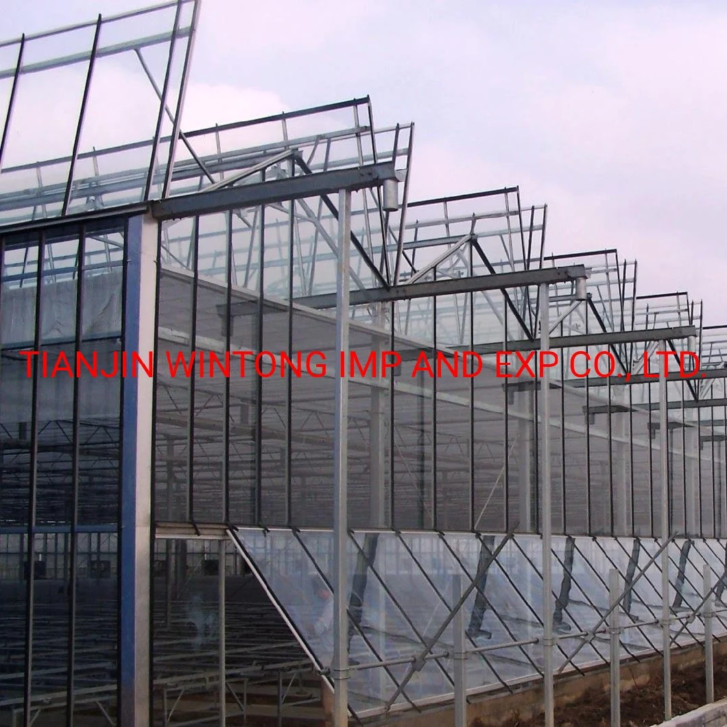 Agricultural Hydroponic Glass Greenhouse for Strawberry/Tomato/Lettuce/Cucumber Growing