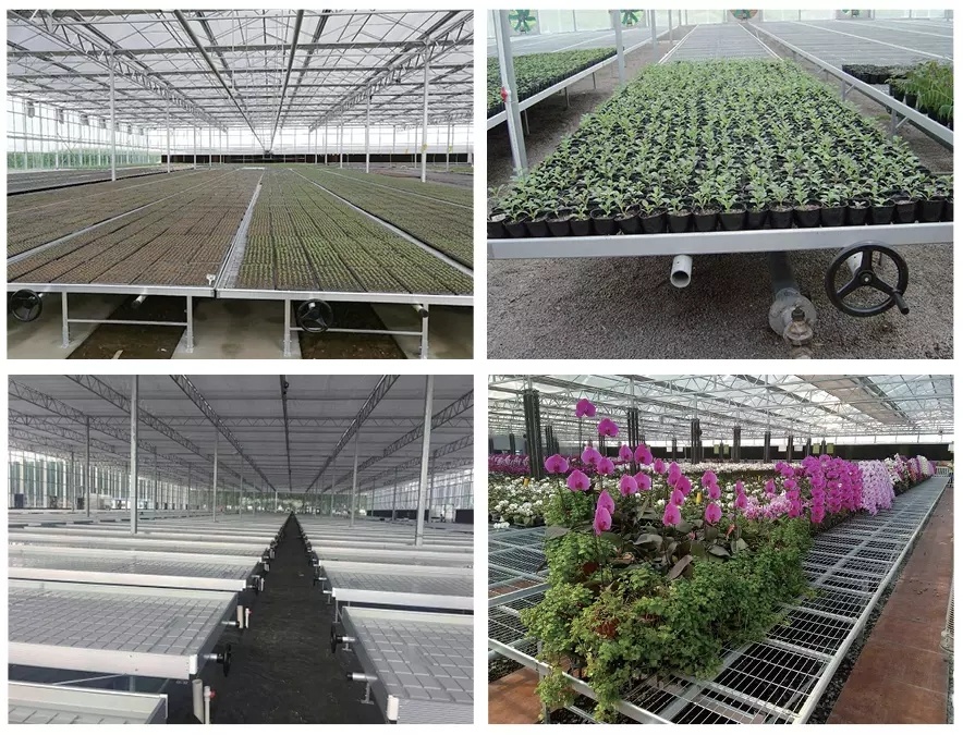 Commercial/Agricultural/Farming/Breeding Gothic Multi-Span Po/PE Film Greenhouse with Hydroponic/Irrigation/Ventilation