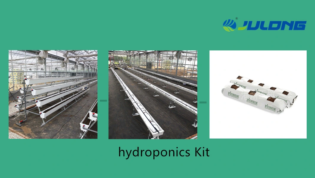 Polycarbonate Greenhouse with Hydroponics Sytsem for Growing Tomato/Lettuce/Strawberry/Cucumber