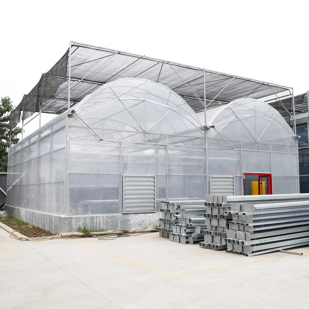 Agricultural Poly Tunnel Green House/Tomato Greenhouse