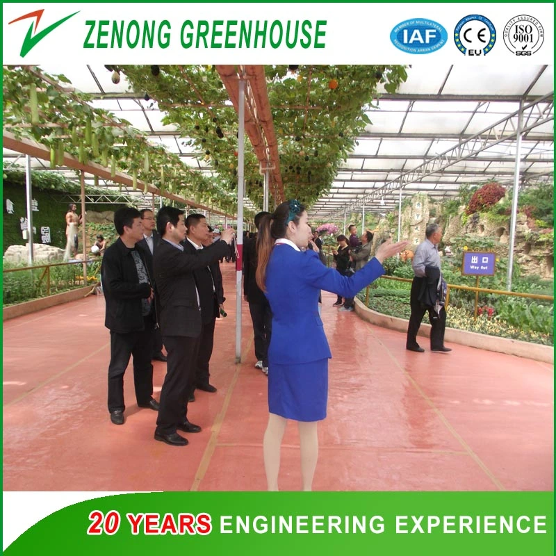 Flower Po/PE Film Single-Tunnel Greenhouse with Shading Screen for Rose/Tulip/Camellia