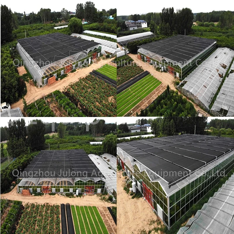 Agriculture Farm Multi-Span Single-Span Plastic Film Greenhouse for Vegetable Flower Tomato Garden