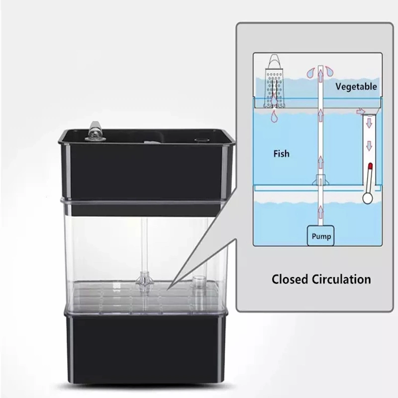 Aquaculture and Hydroponics for Aquaponics System